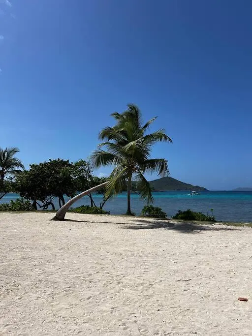 Sea La Vie At Sapphire Beach Resort & Marina East End  0*, East End (Saint Thomas) United States Virgin Islands
